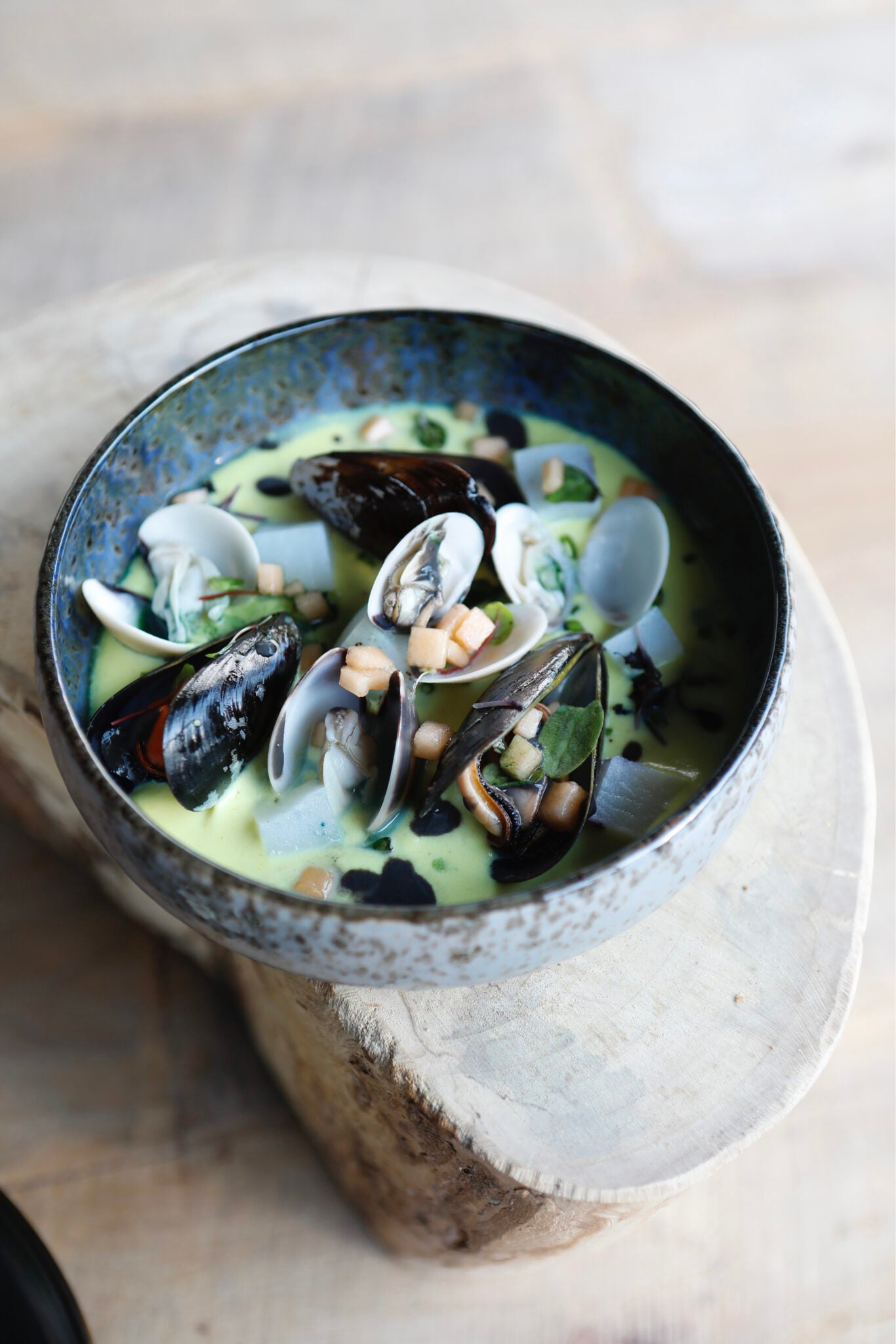 Venetian plated cappuccino, potatoes cream, mussels and cuttlefish